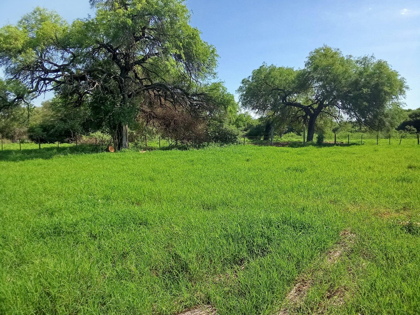 Fortín Yunká - Destacada 2026